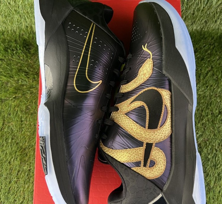 Kobe 5 Year Of The Mamba Eggplant
