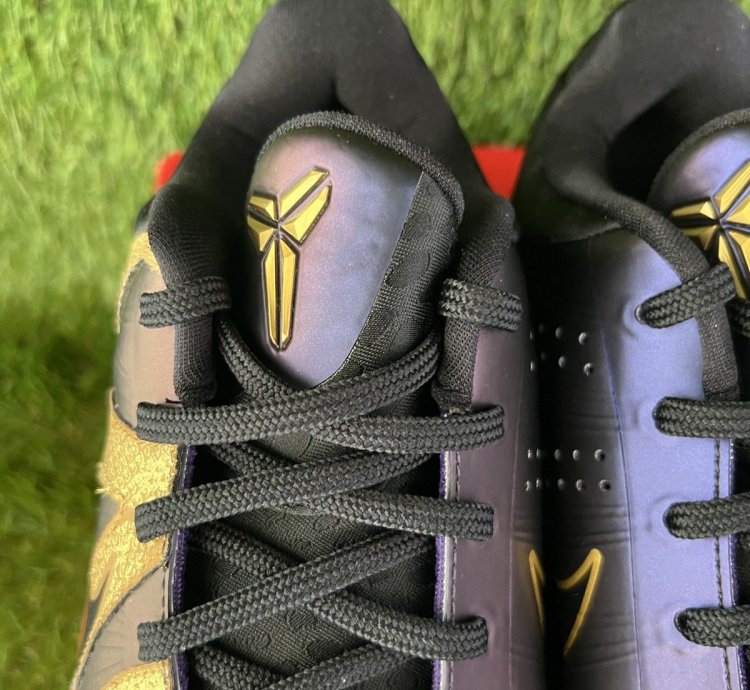 Kobe 5 Year Of The Mamba Eggplant