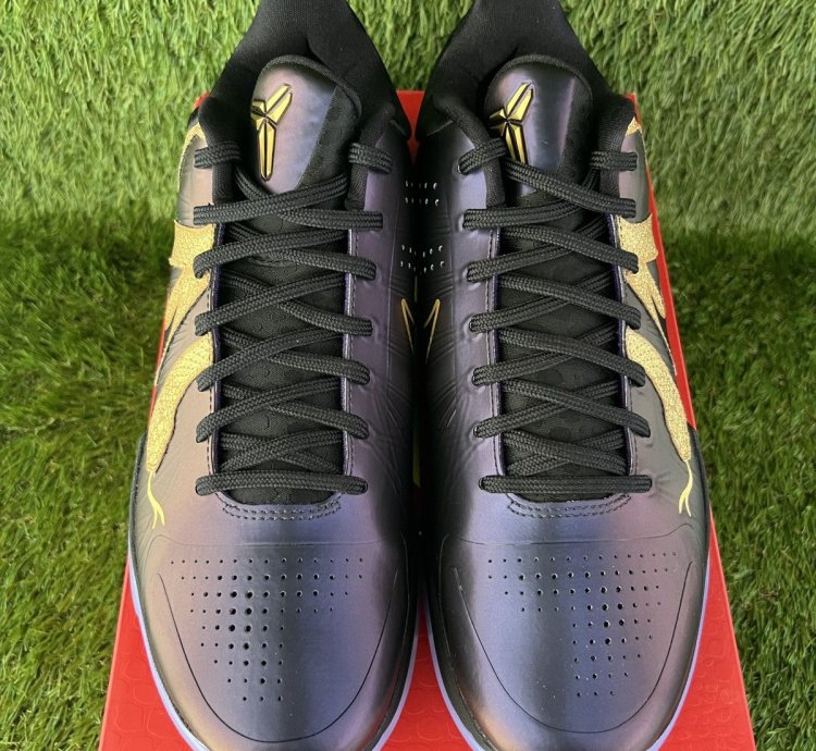 Kobe 5 Year Of The Mamba Eggplant