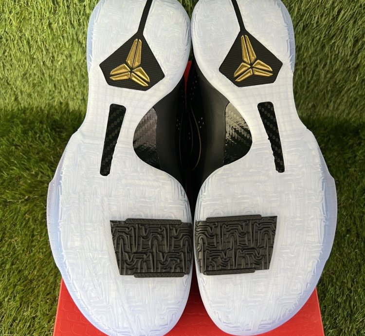 Kobe 5 Year Of The Mamba Eggplant