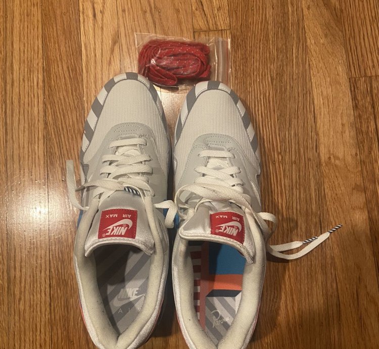 Nike Parra Air Max