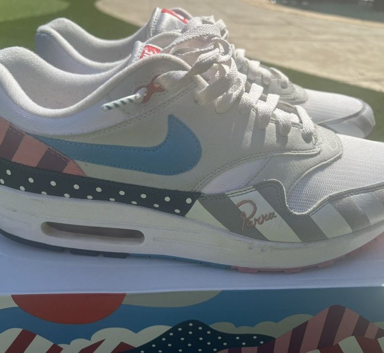 Nike Parra Air Max 1