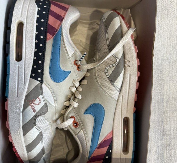 Nike Parra Air Max 1