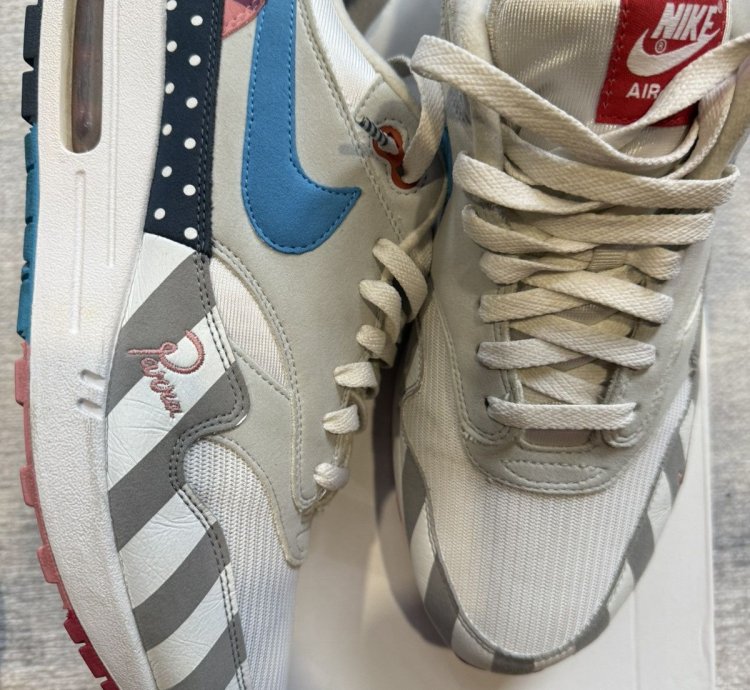Nike Parra Air Max 1