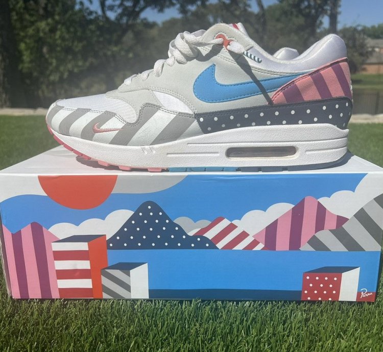 Nike Parra Air Max 1