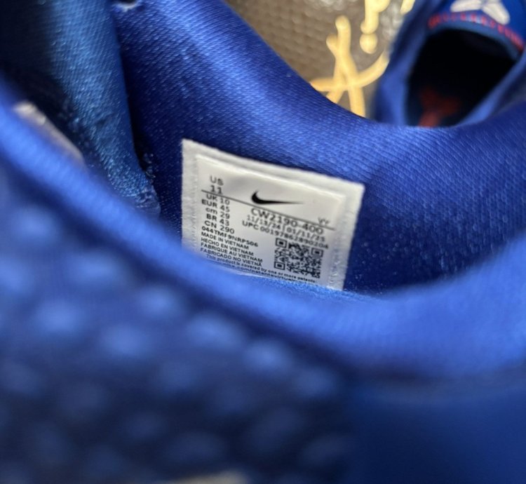 Kobe 6 Protro Dodgers