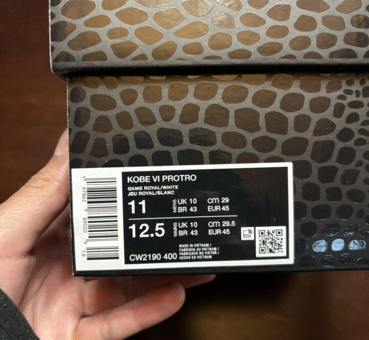 Kobe 6 Protro Dodgers