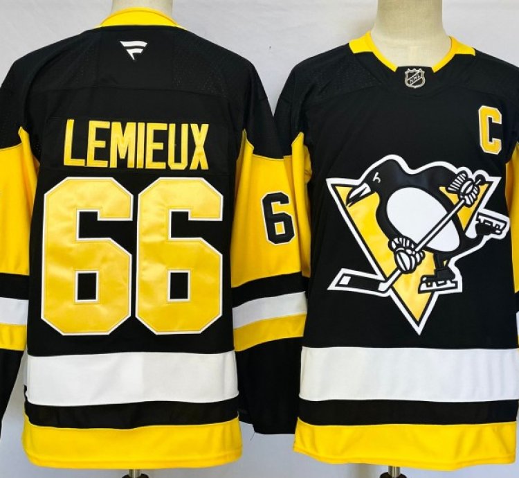 Pittsburgh Penguins 66 Mario Lemieux Jersey Stitched