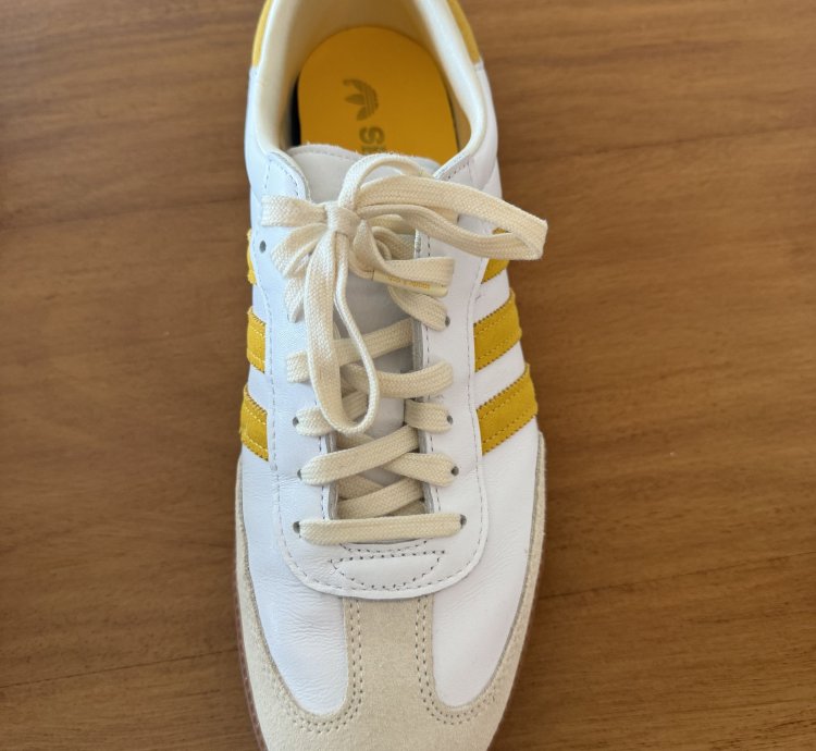 Adidas Samba Sporty And Rich Sneakers