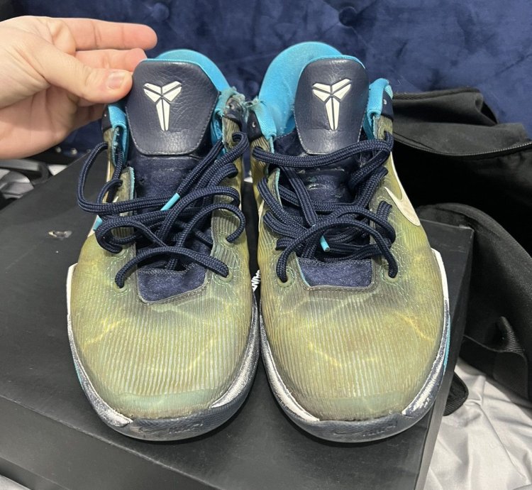 Kobe 7 Sharks