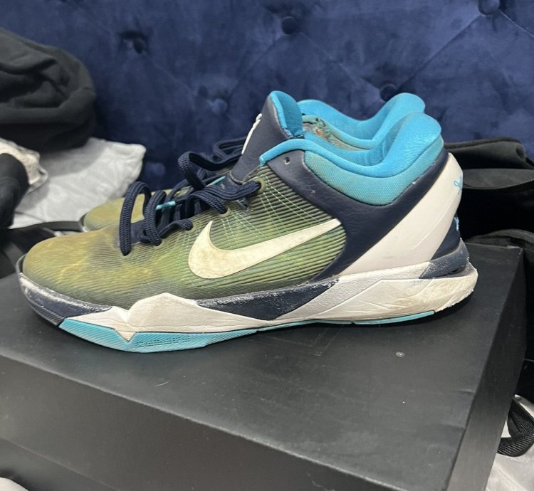 Kobe 7 Sharks