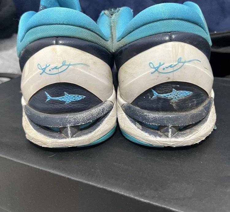 Kobe 7 Sharks