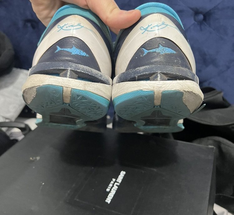 Kobe 7 Sharks