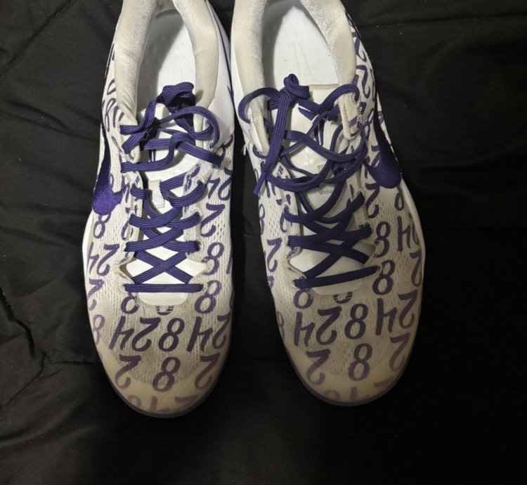 Kobe 8 Court Purple