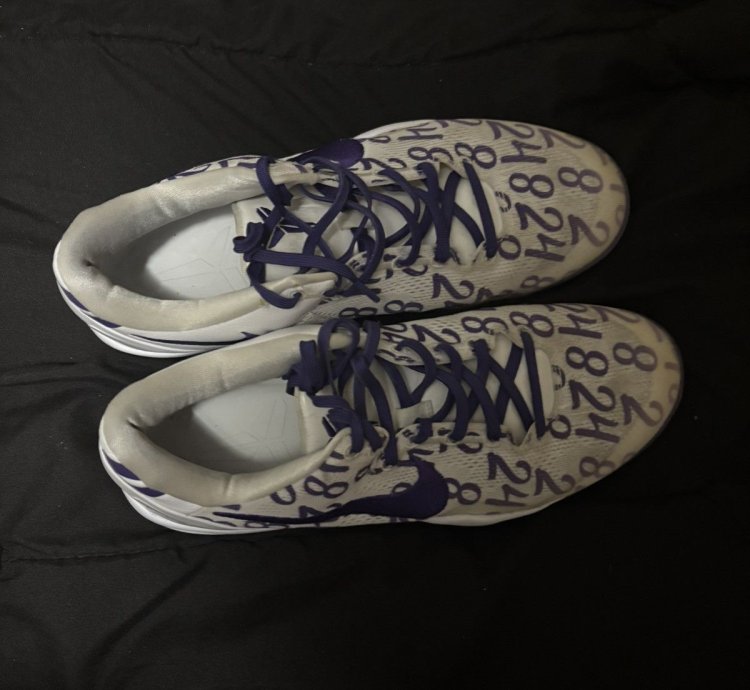 Kobe 8 Court Purple