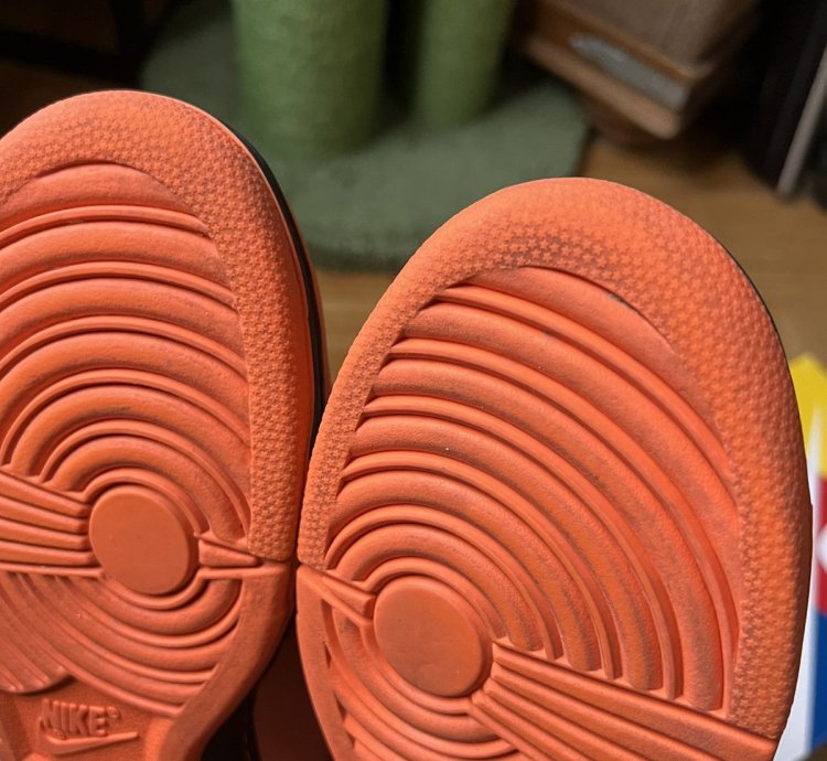 Nike Sb Concepts Orange Lobster