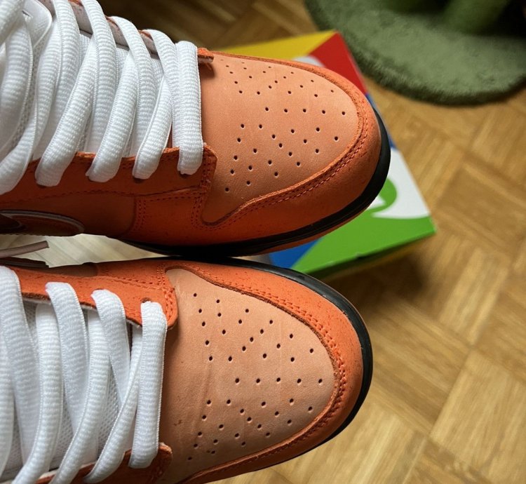 Nike Sb Concepts Orange Lobster