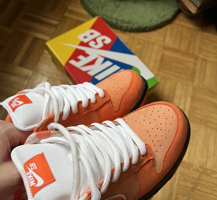 Nike Sb Concepts Orange Lobster