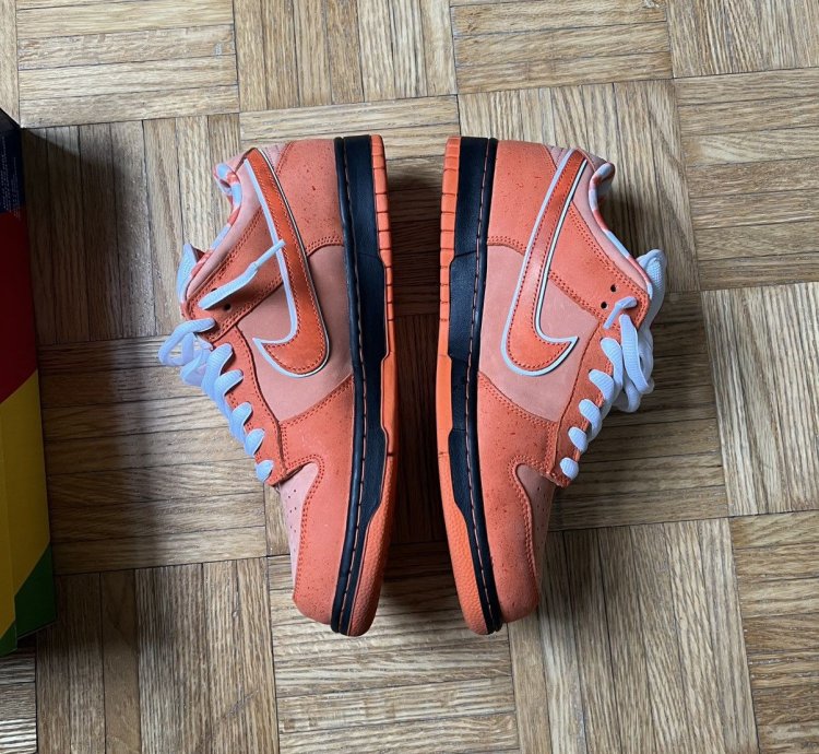 Nike Sb Concepts Orange Lobster