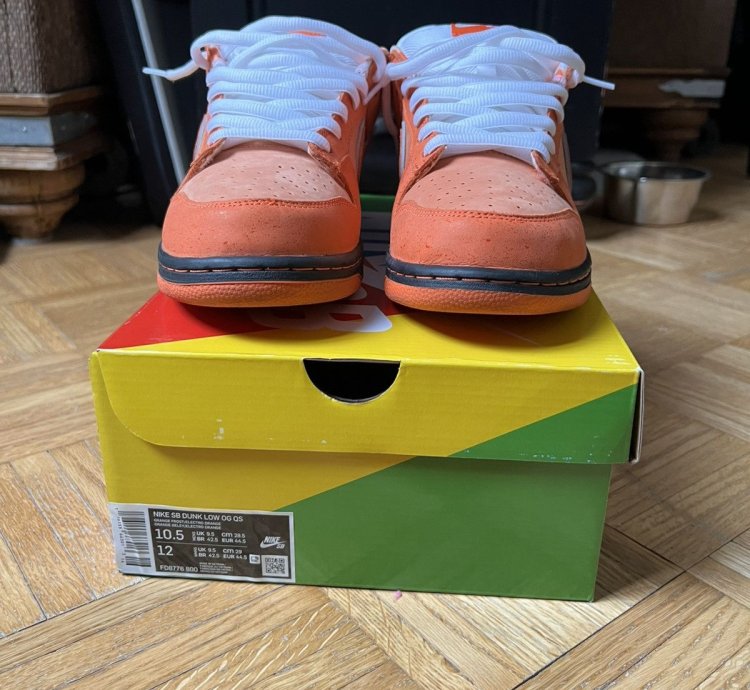 Nike Sb Concepts Orange Lobster