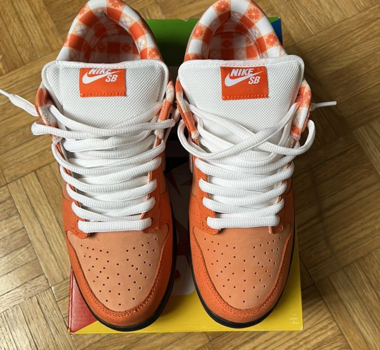 Nike Sb Concepts Orange Lobster