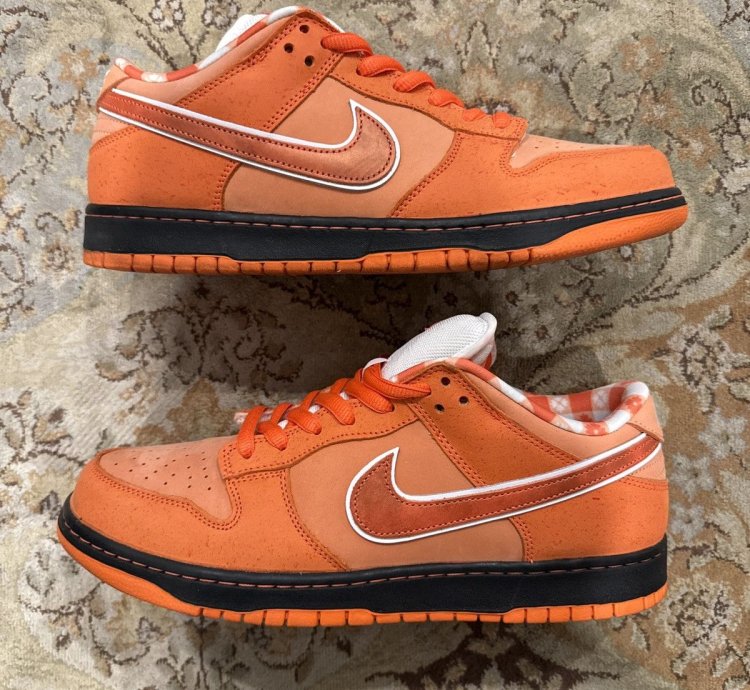 Nike Sb Concepts Orange Lobster 12