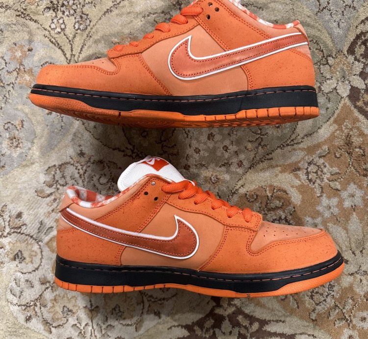 Nike Sb Concepts Orange Lobster 12