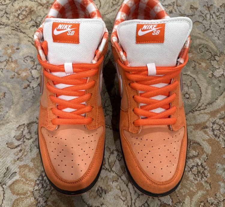 Nike Sb Concepts Orange Lobster 12
