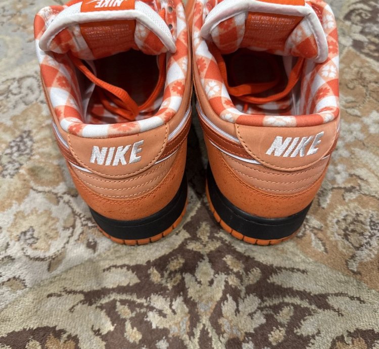 Nike Sb Concepts Orange Lobster 12