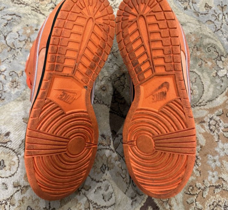 Nike Sb Concepts Orange Lobster 12