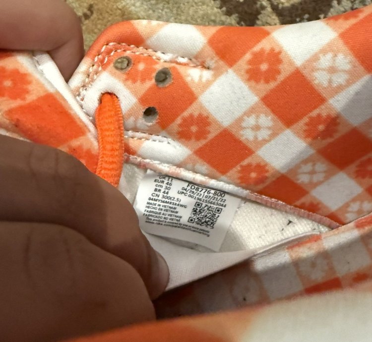 Nike Sb Concepts Orange Lobster 12