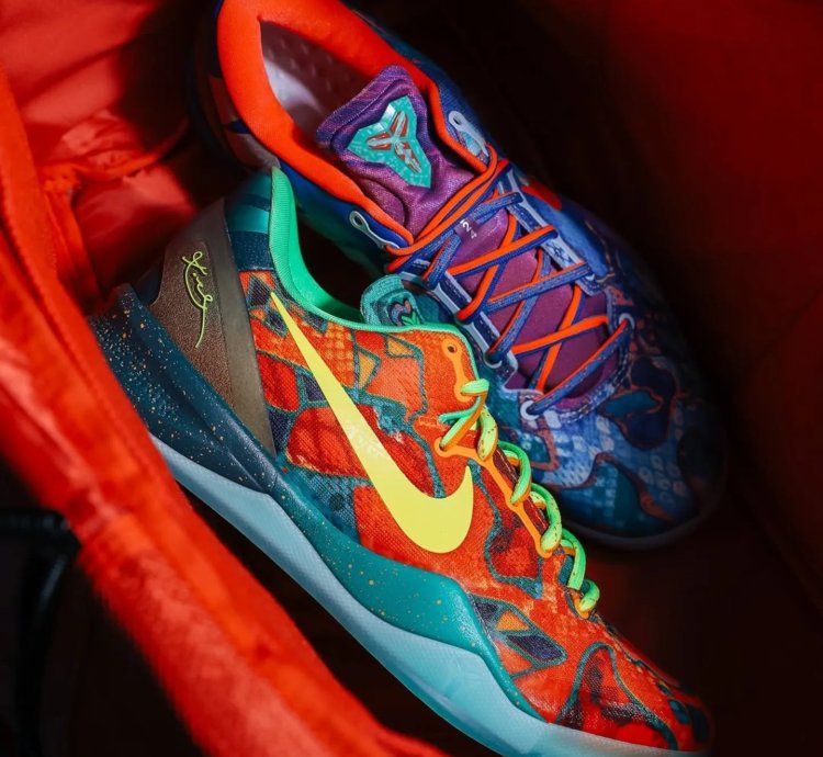 Nike Kobe 8 Protro What The