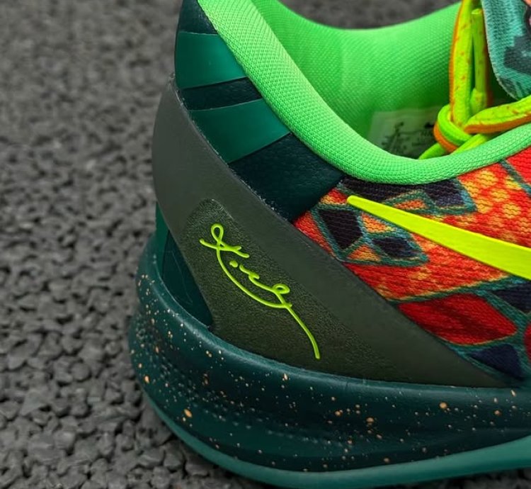 Nike Kobe 8 Protro What The