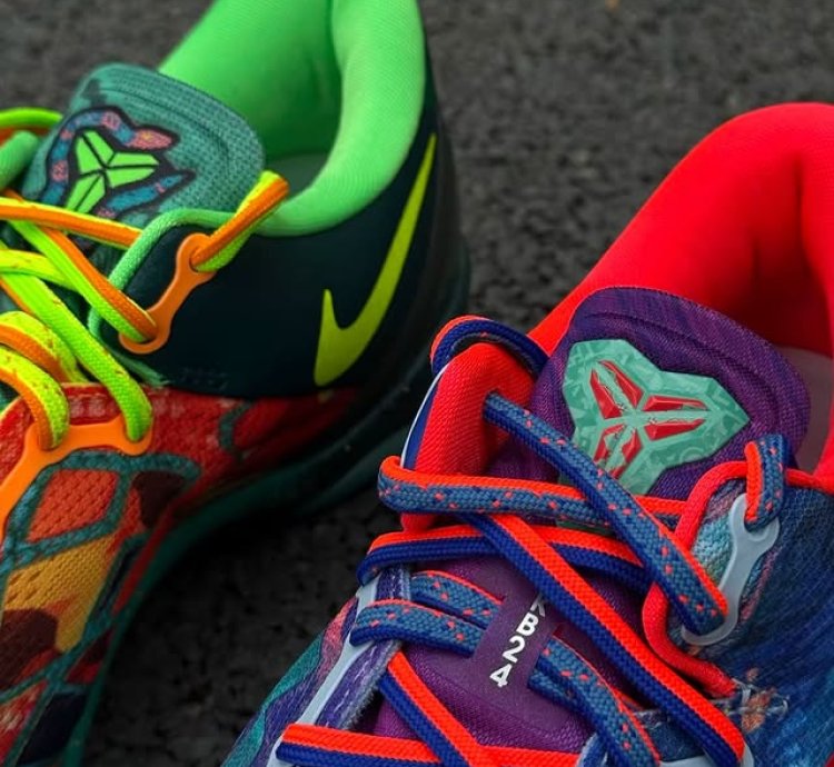 Nike Kobe 8 Protro What The