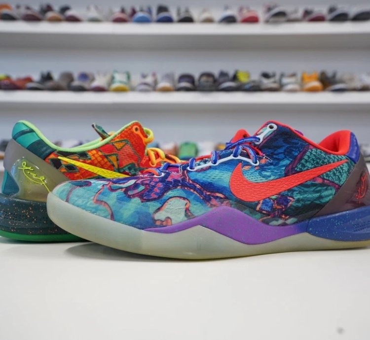 Nike Kobe 8 Protro What The