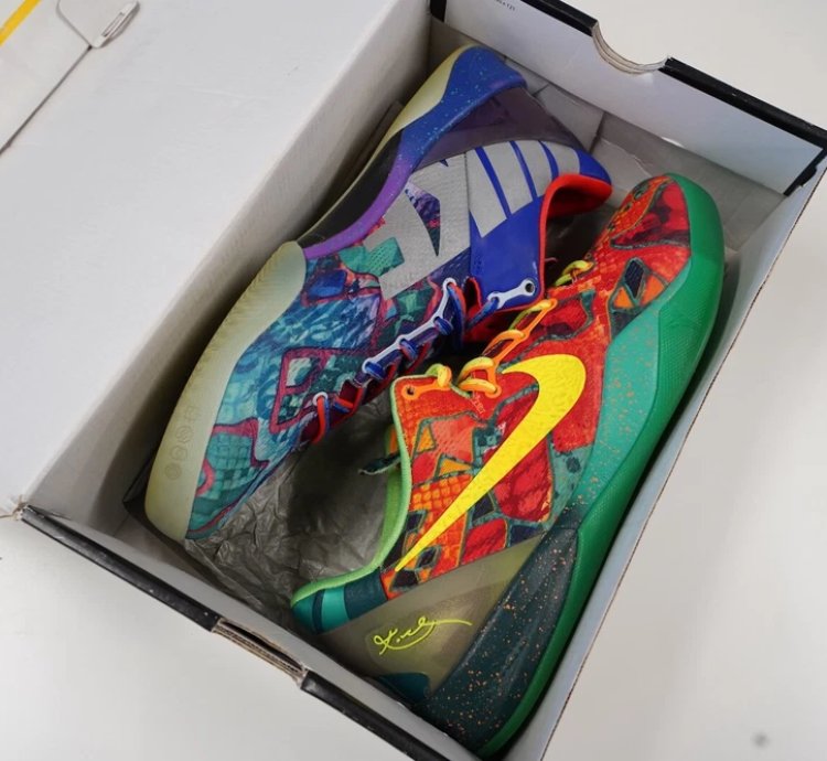 Nike Kobe 8 Protro What The