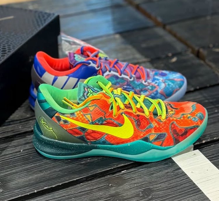 Nike Kobe 8 Protro What The