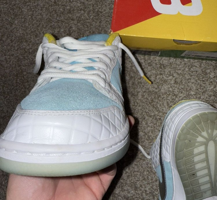 Nike Sb Dunk Low Ftc
