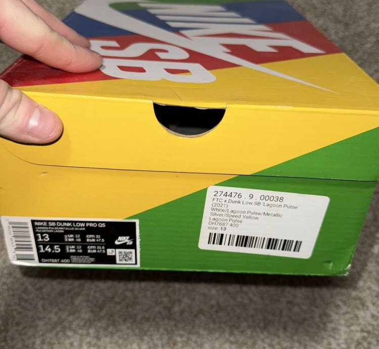 Nike Sb Dunk Low Ftc