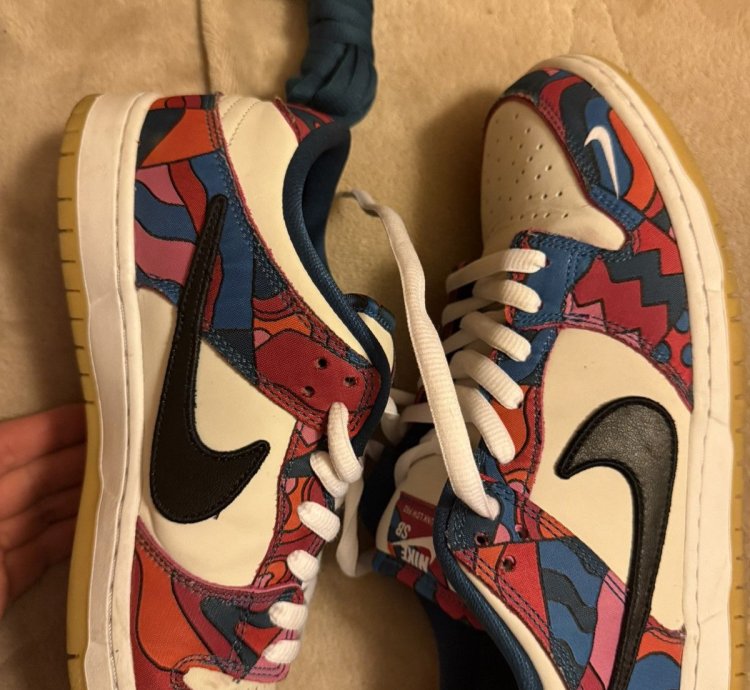 Nike Sb Dunk Low Pro Parra Abstract Art