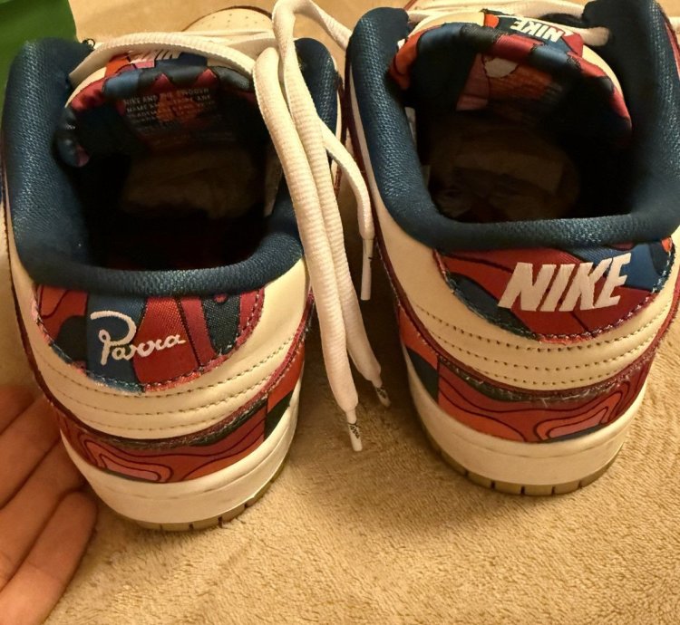 Nike Sb Dunk Low Pro Parra Abstract Art