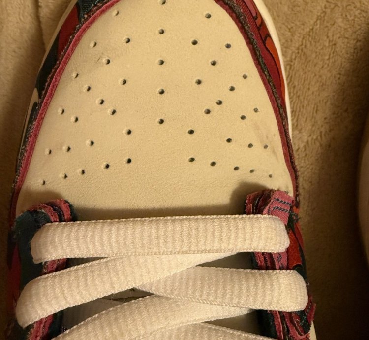 Nike Sb Dunk Low Pro Parra Abstract Art
