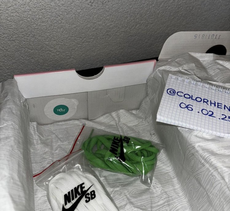 Nike Sb Dunk Low Staple Panda Pigeon
