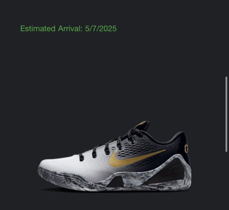 Kobe Ix 9 Em Elite Low Protro Mambacita - Size 10