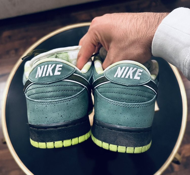 Nike Sb Green Lobster