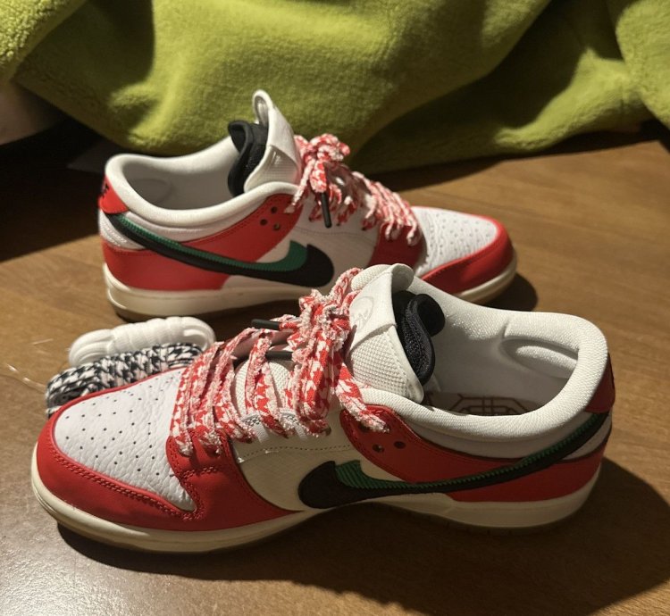 Nike Sb Habibi Dunks 11