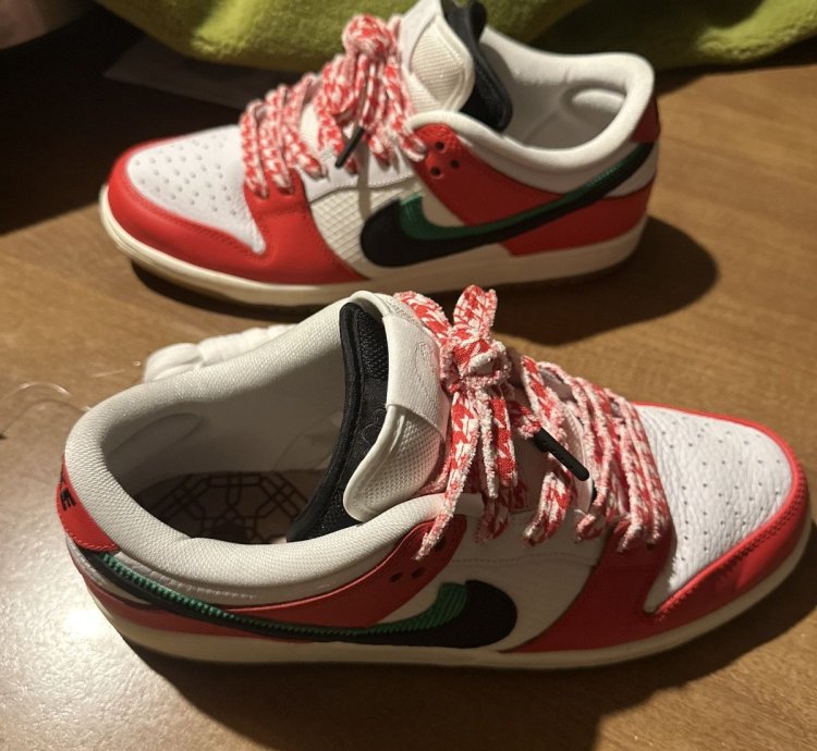 Nike Sb Habibi Dunks 11