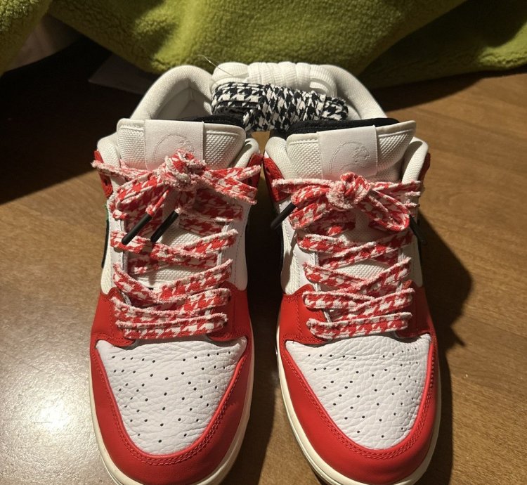 Nike Sb Habibi Dunks 11