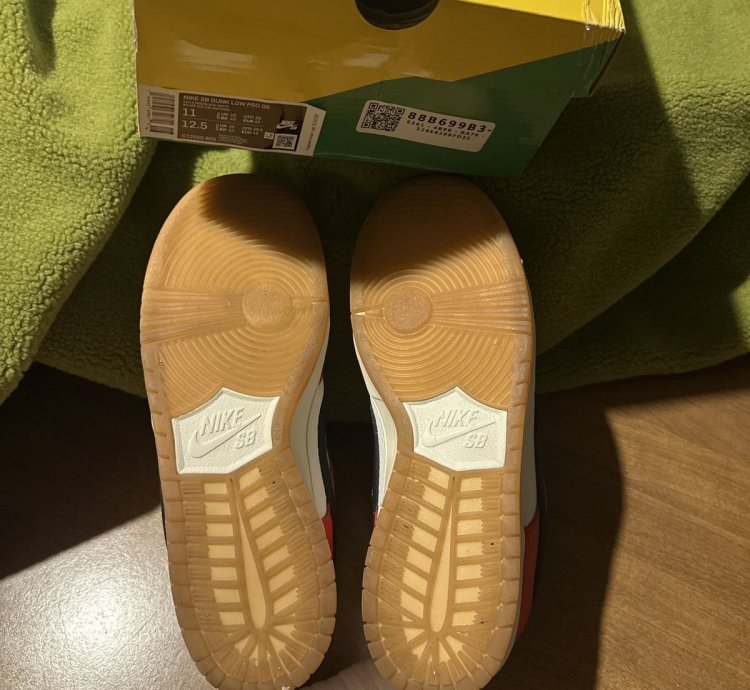 Nike Sb Habibi Dunks 11