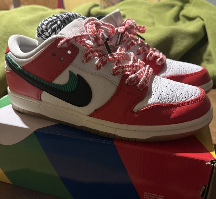 Nike Sb Habibi Dunks 11